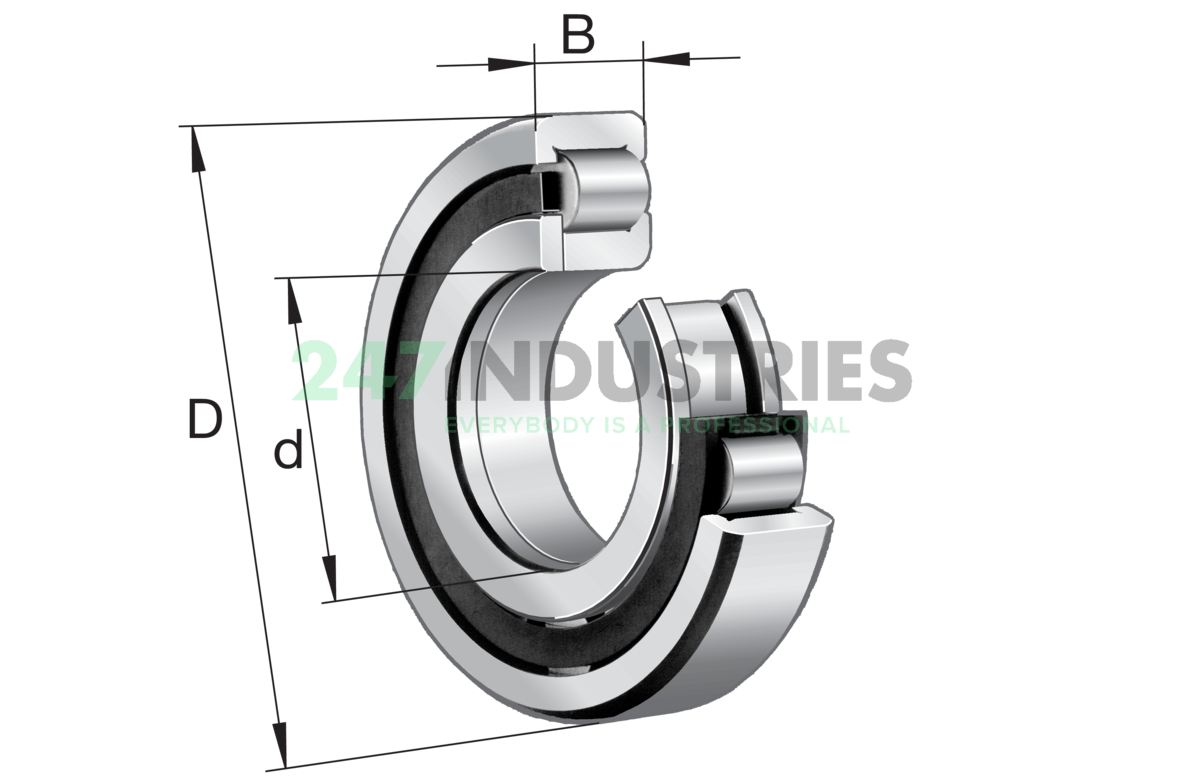 NUP313-E-XL-M1 FAG Image 5
