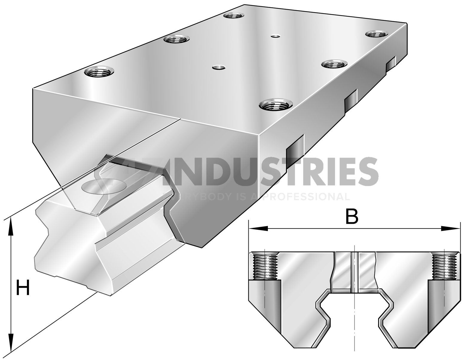RUDS55X300-D INA