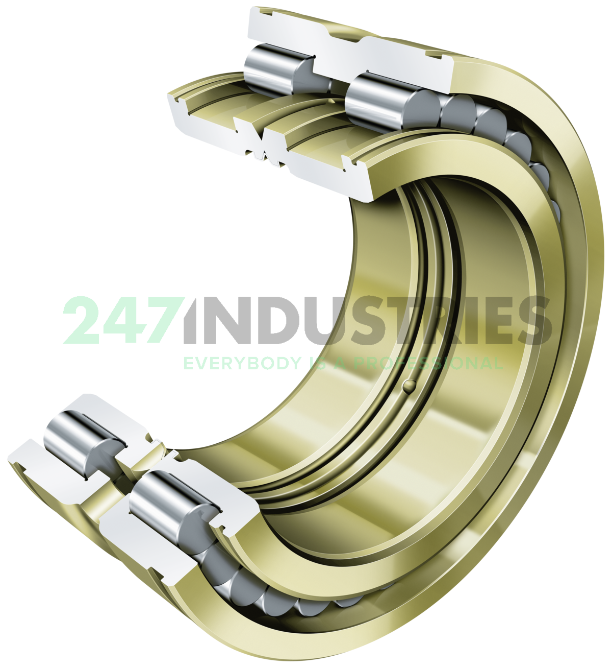 SL045008-S3-C4 INA Image 4