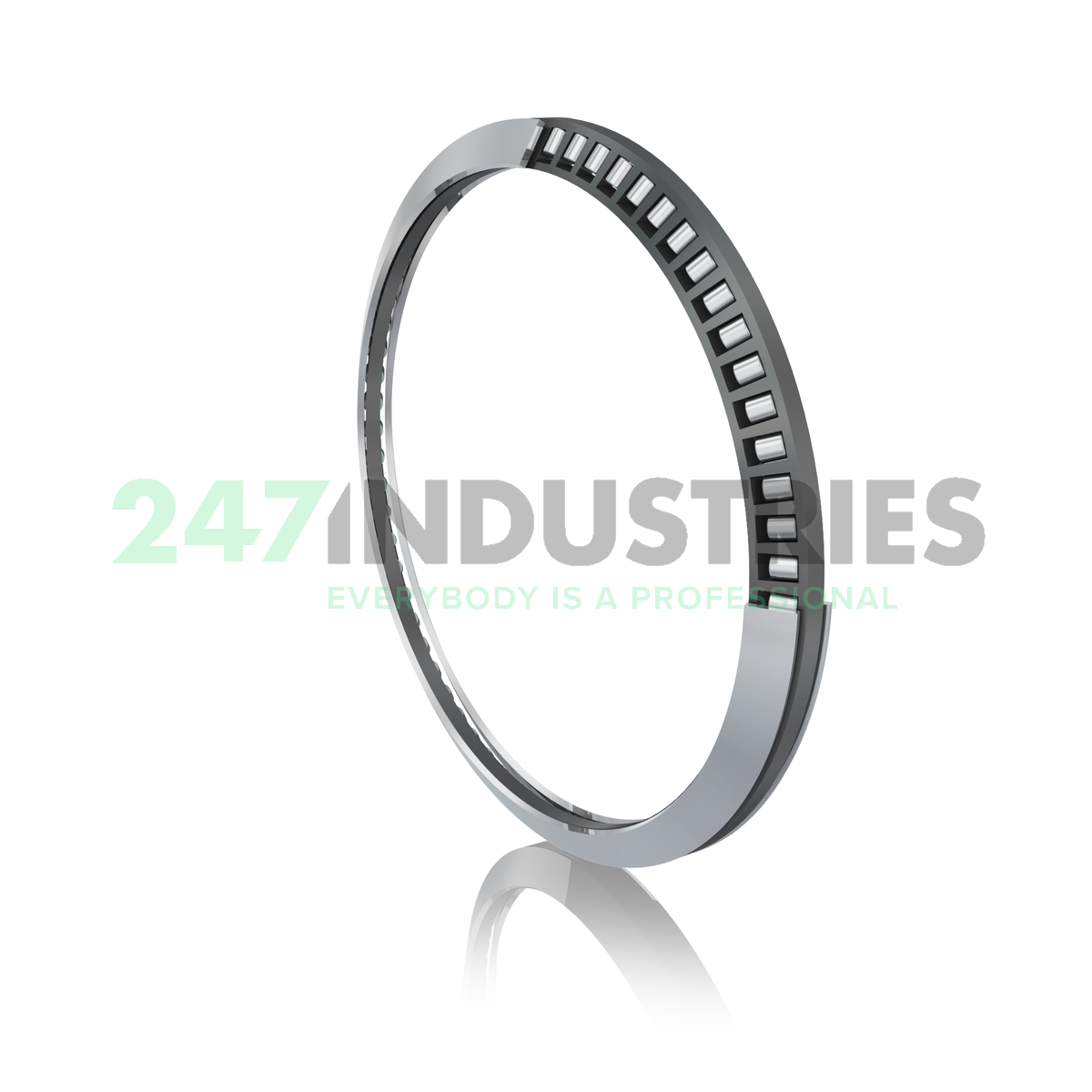 AXS6074 INA
