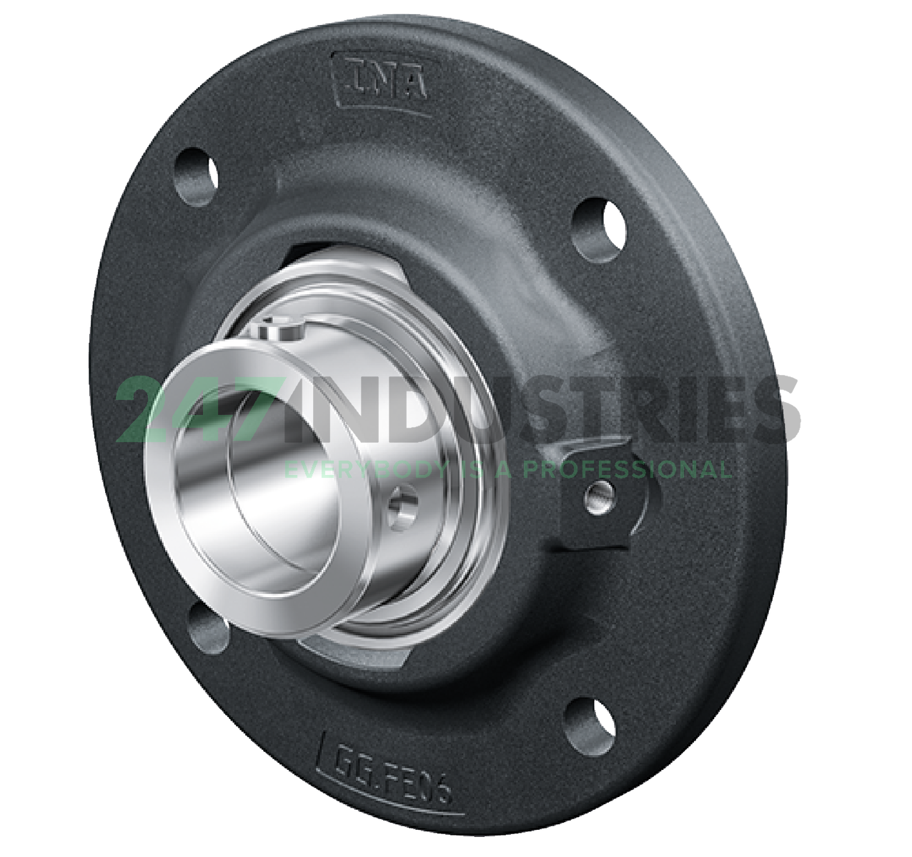 RFE30 INA Image 3