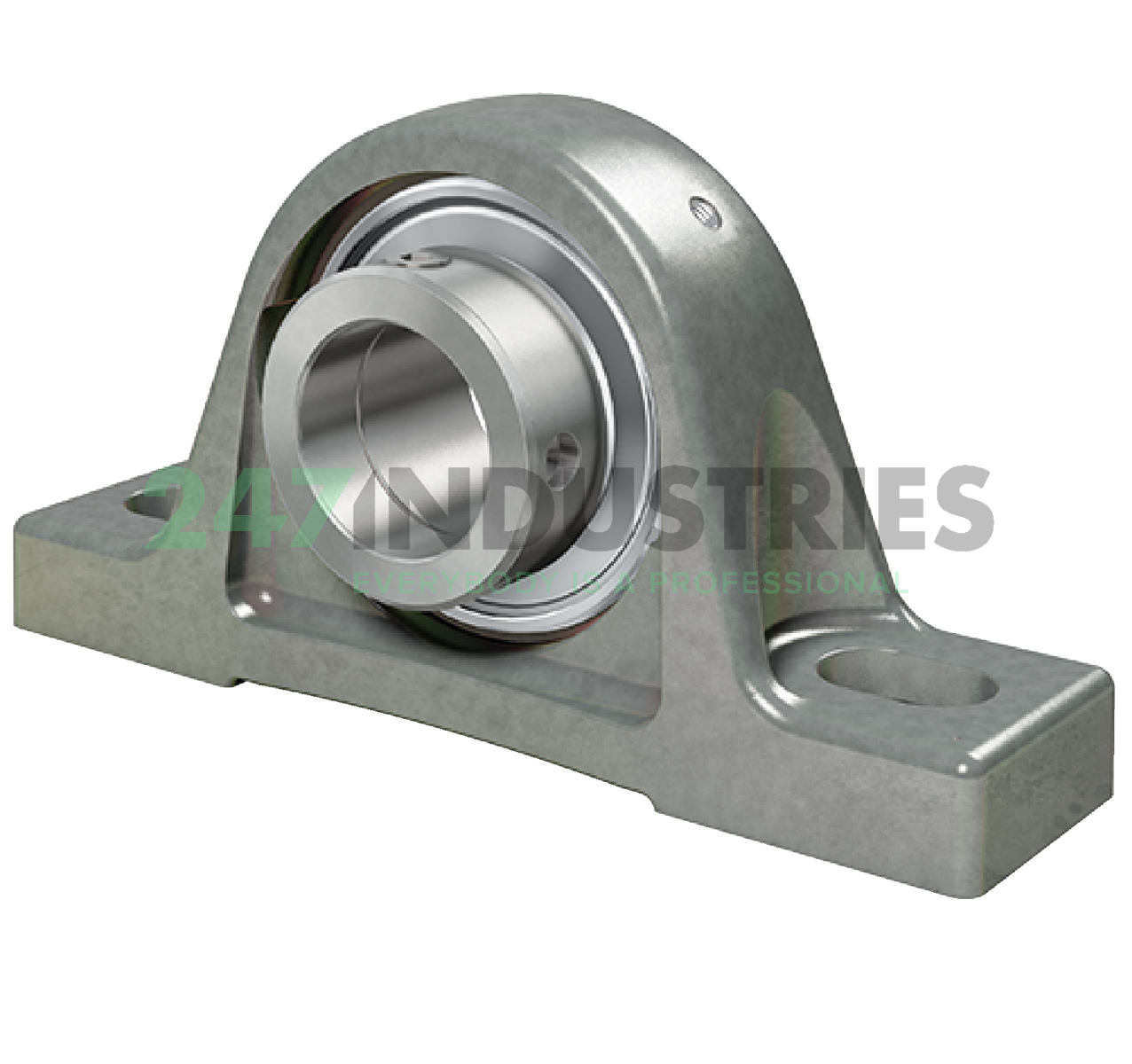 PASE20-XL-N-FA125 INA Image 5