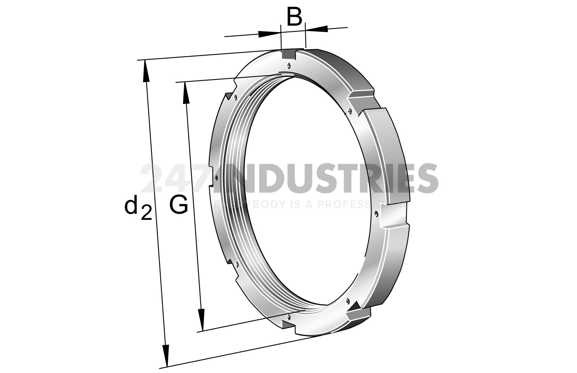 HM3060 FAG Image 1