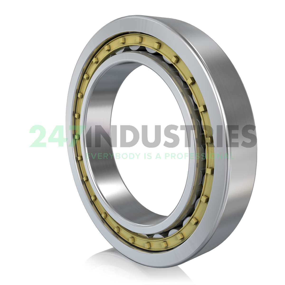 NU240-E-M1A FAG Image 1