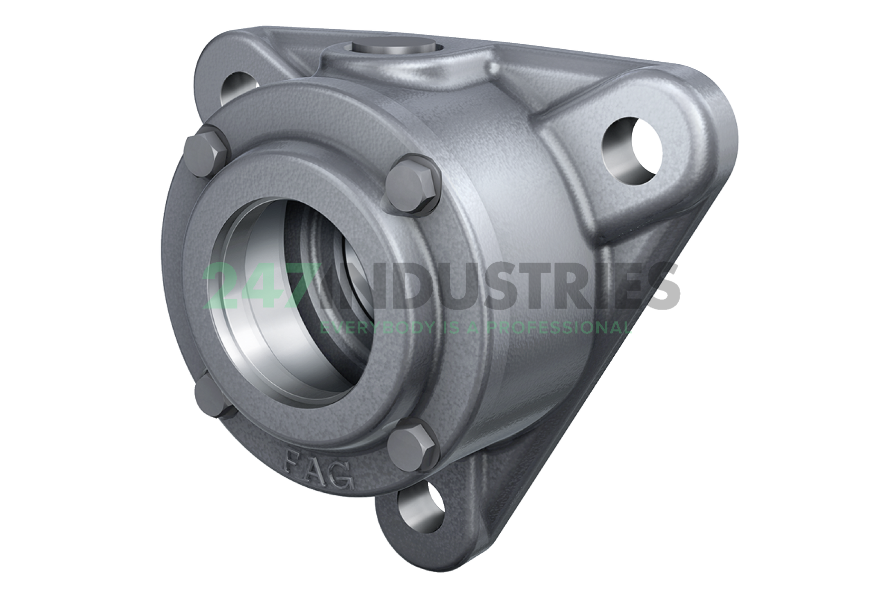 F11209 FAG Image 3
