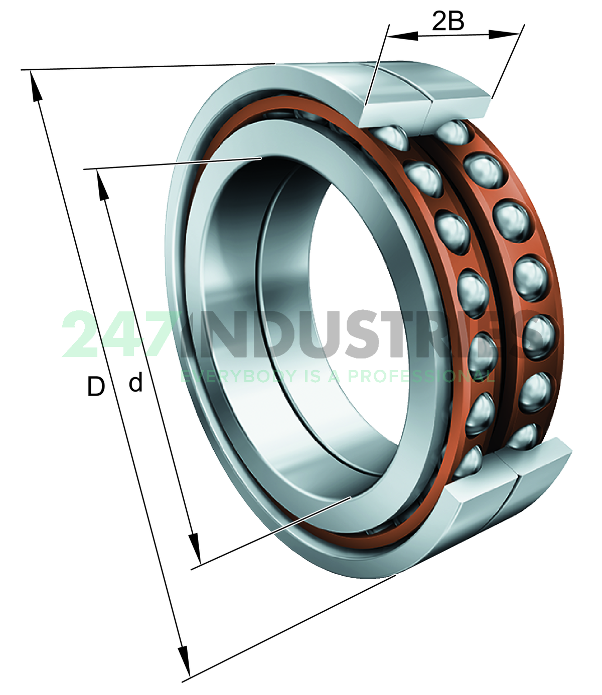 BAX85-F-T-P4S-DBL FAG Image 4