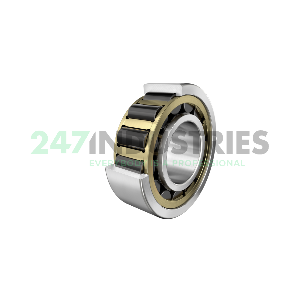 NJ2324-E-XL-M1A-J30PC-C3 FAG Image 1