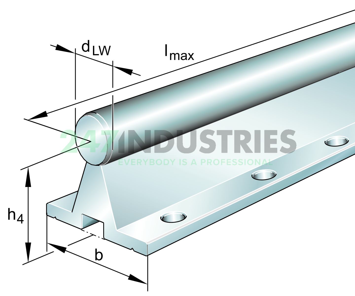 TSNW12 INA Image 1