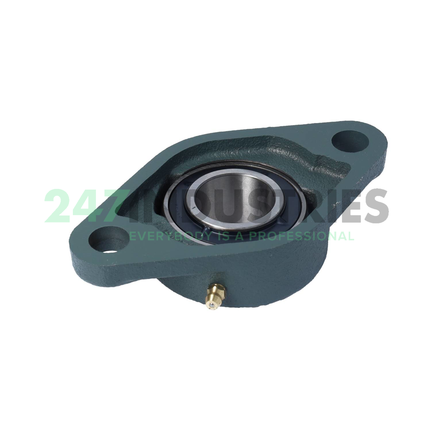 UKFL206D1 NSK Image 2