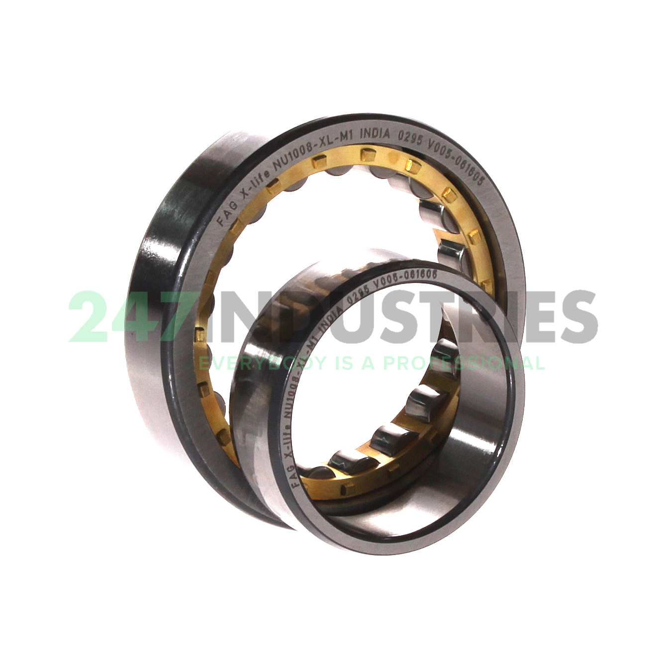 NU1008-XL-M1 FAG Image 2