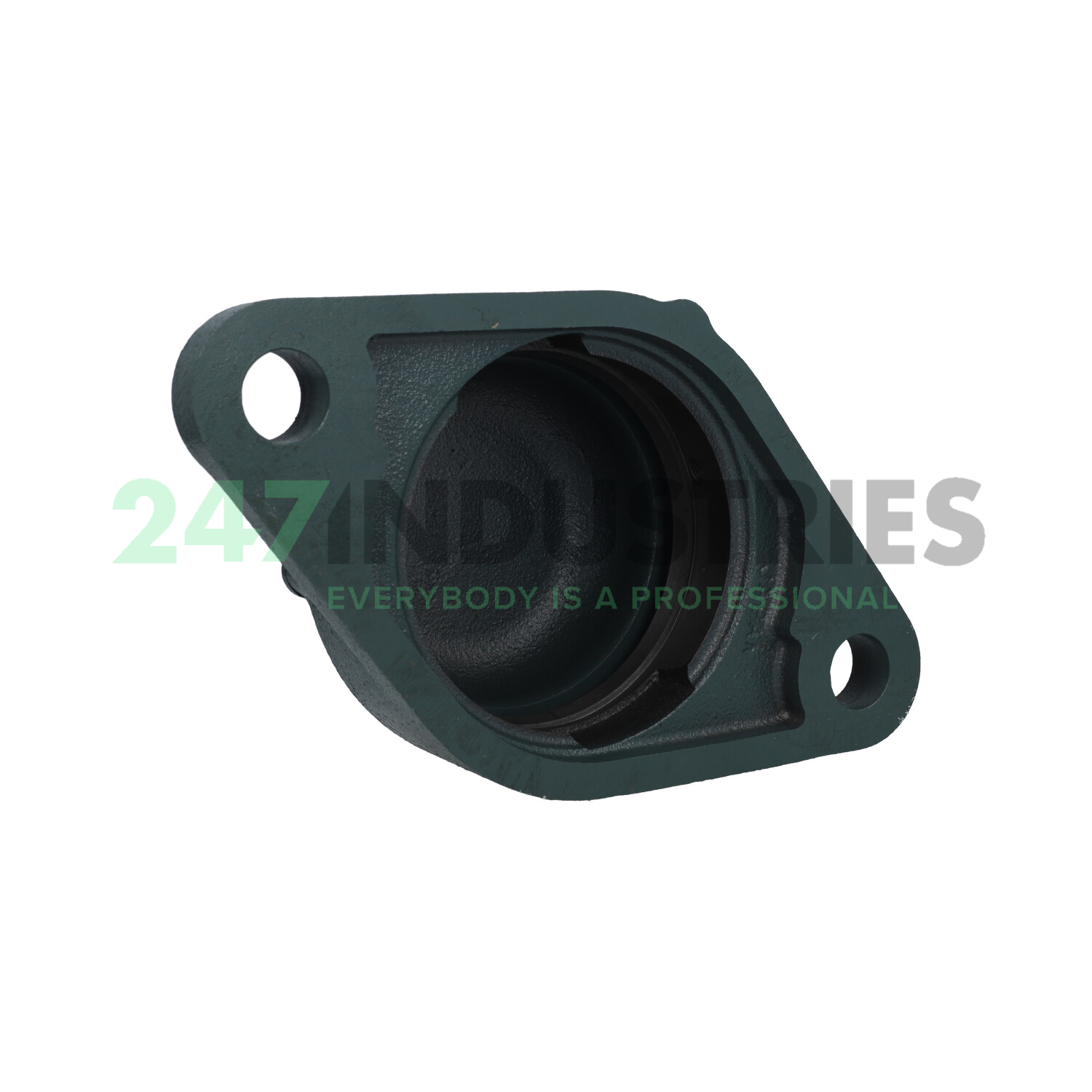 CM-FL212D1 NTN Image 2