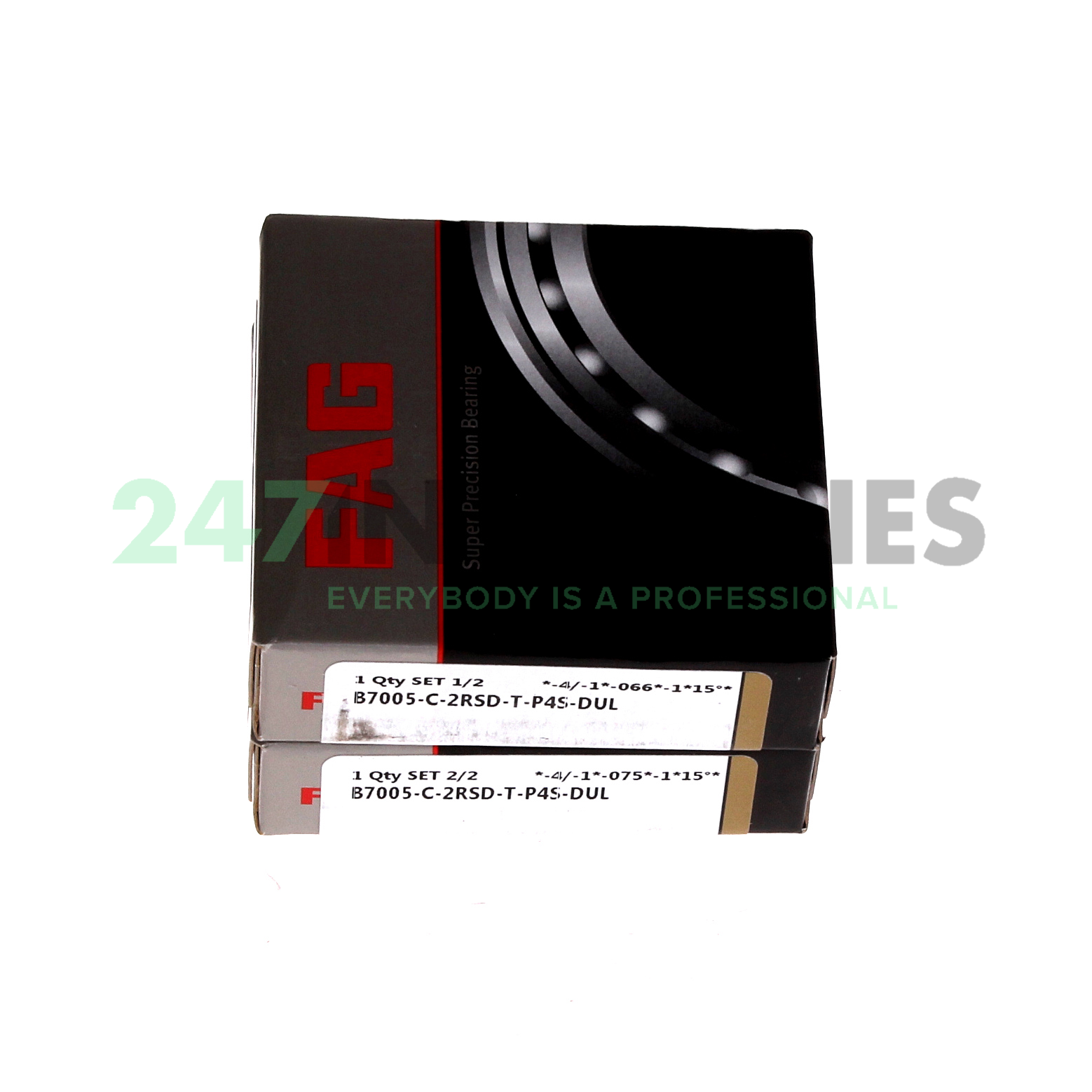 B7005-C-2RSD-T-P4S-DUL FAG