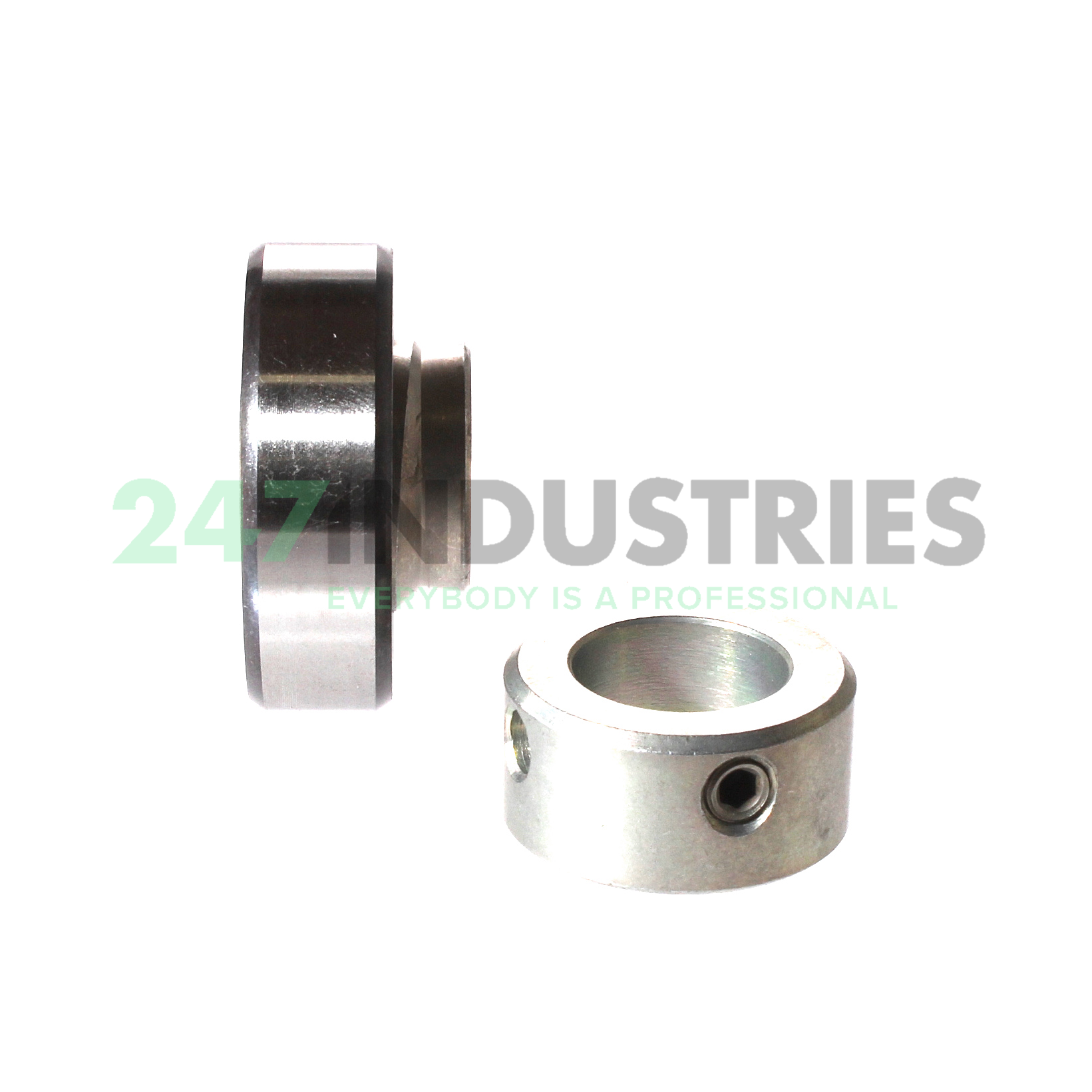 RAE17-XL-NPP-FA106 INA Image 2