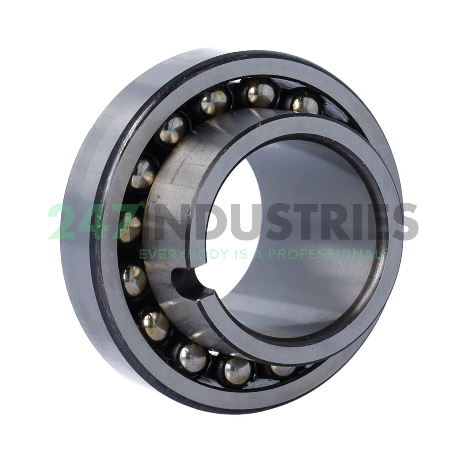 11209E TG Steyr Image 2