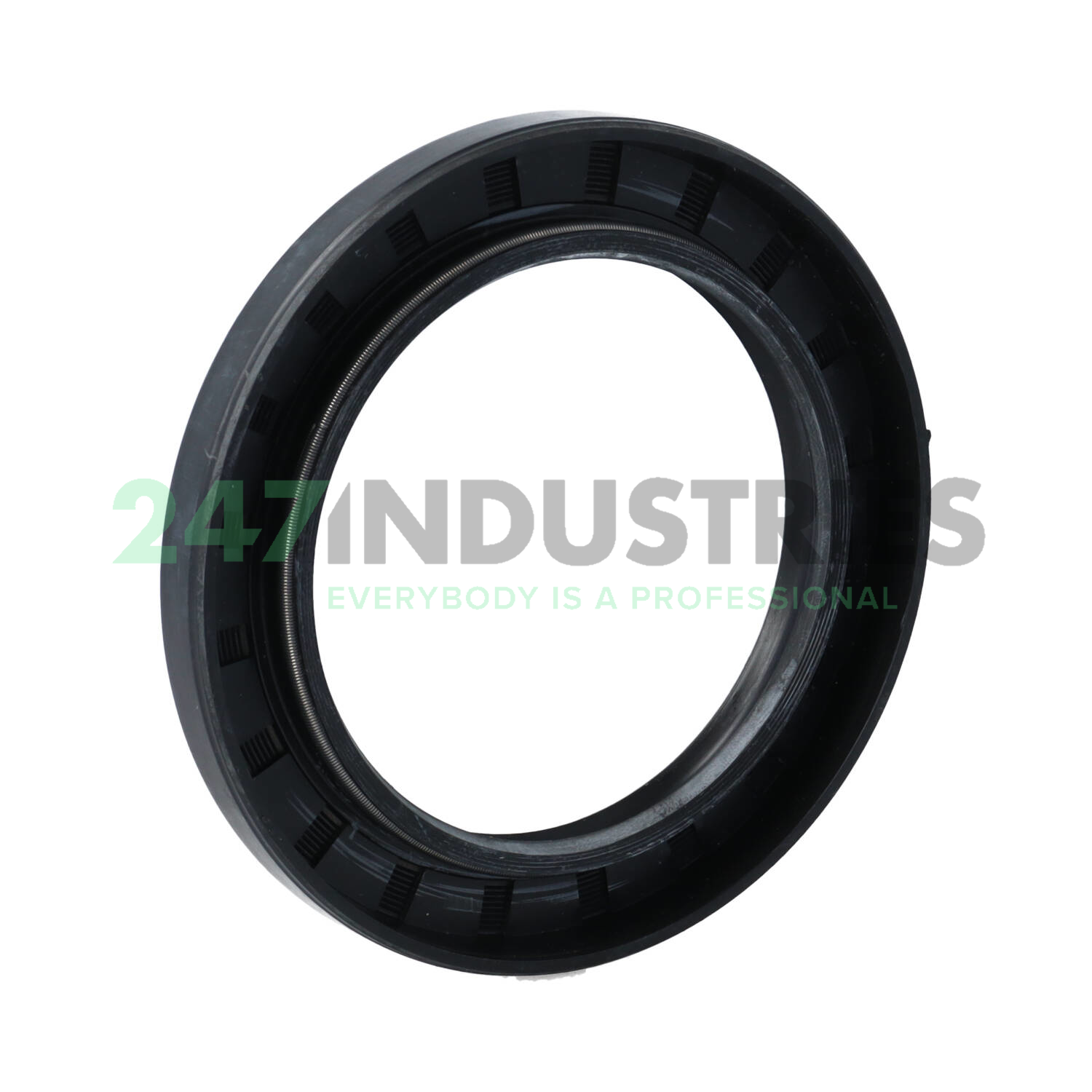 TC70X100X10 NTK Technologies Image 2