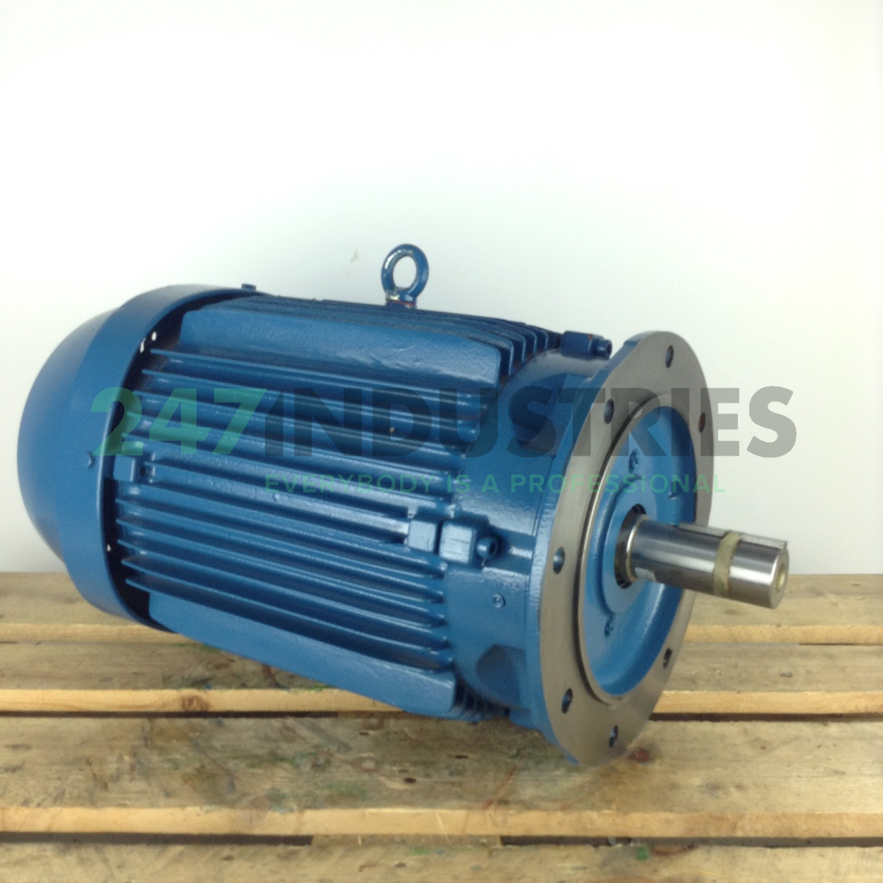 22K32CI21804B5 WEG Image 3