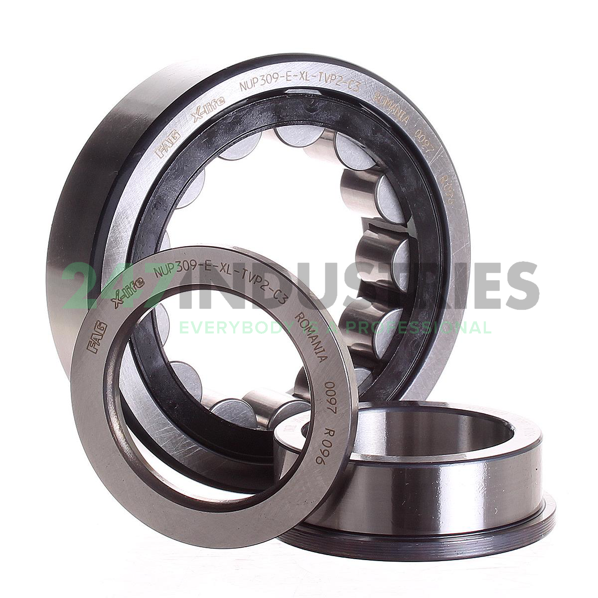 NUP309-E-XL-TVP2-C3 FAG Image 3