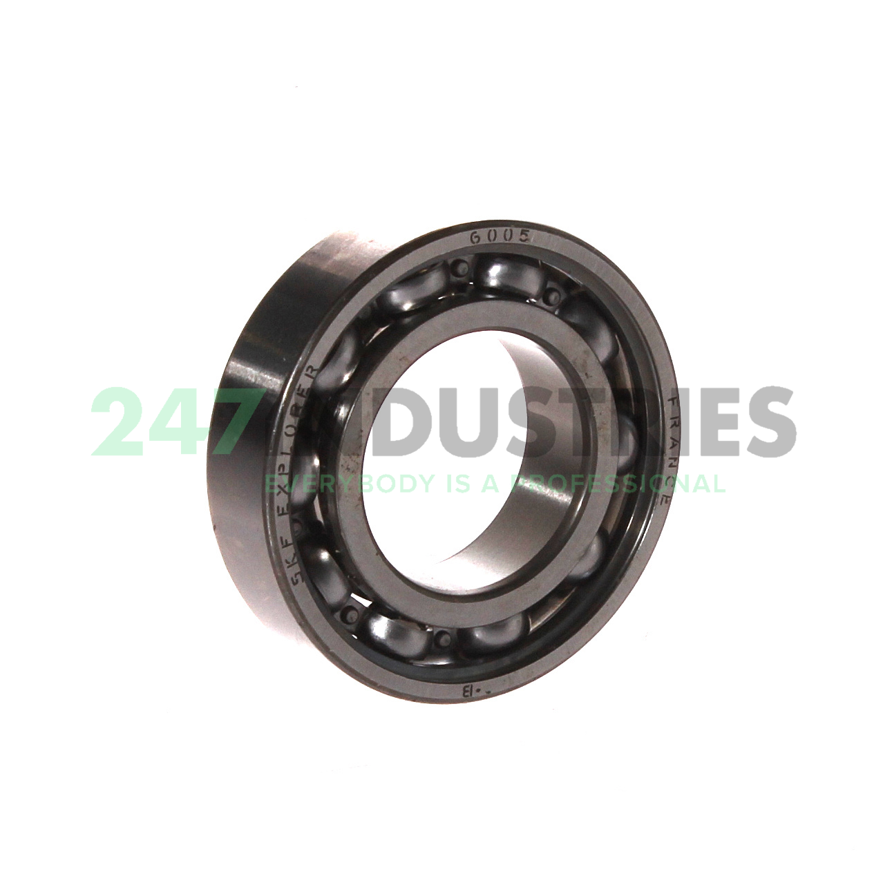 6005 SKF Image 1