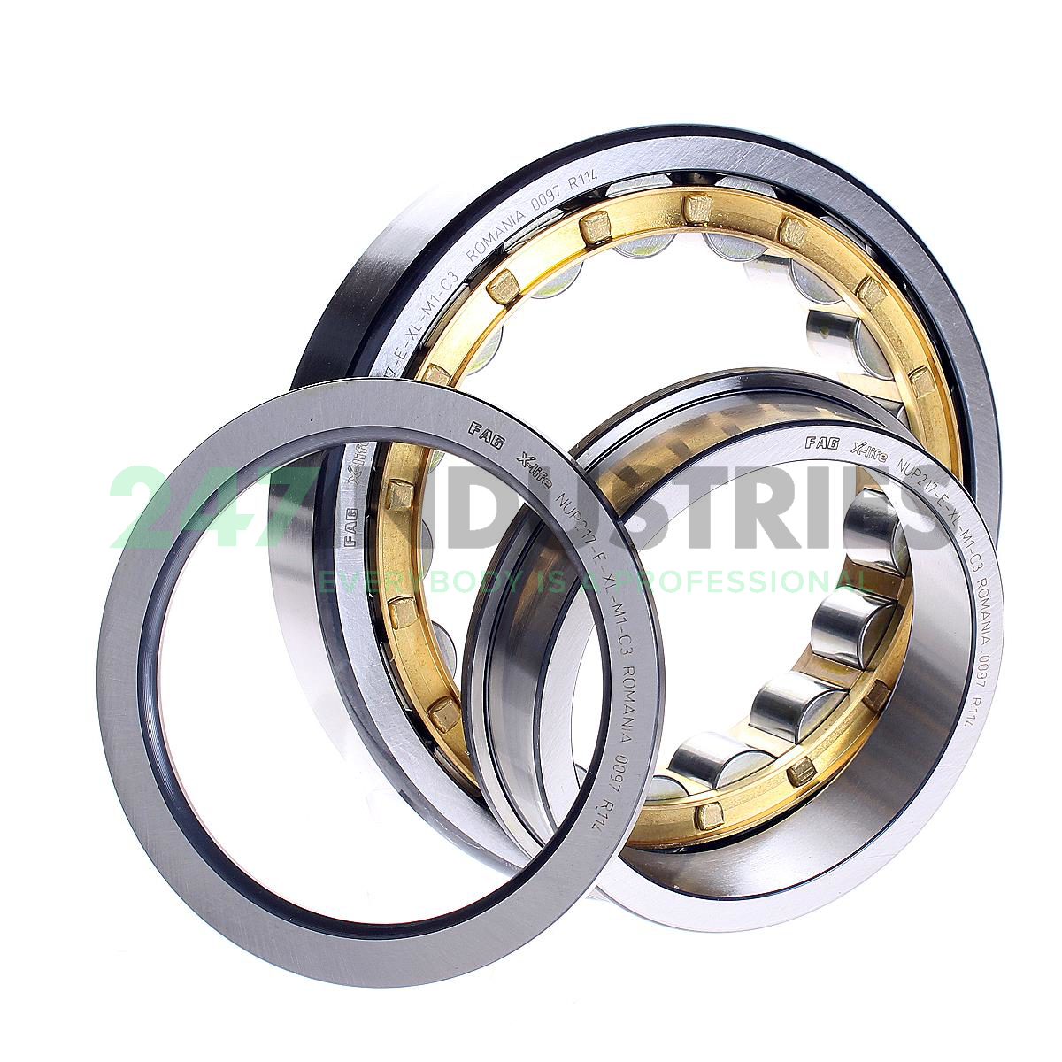 NUP217-E-XL-M1-C3 FAG Image 2