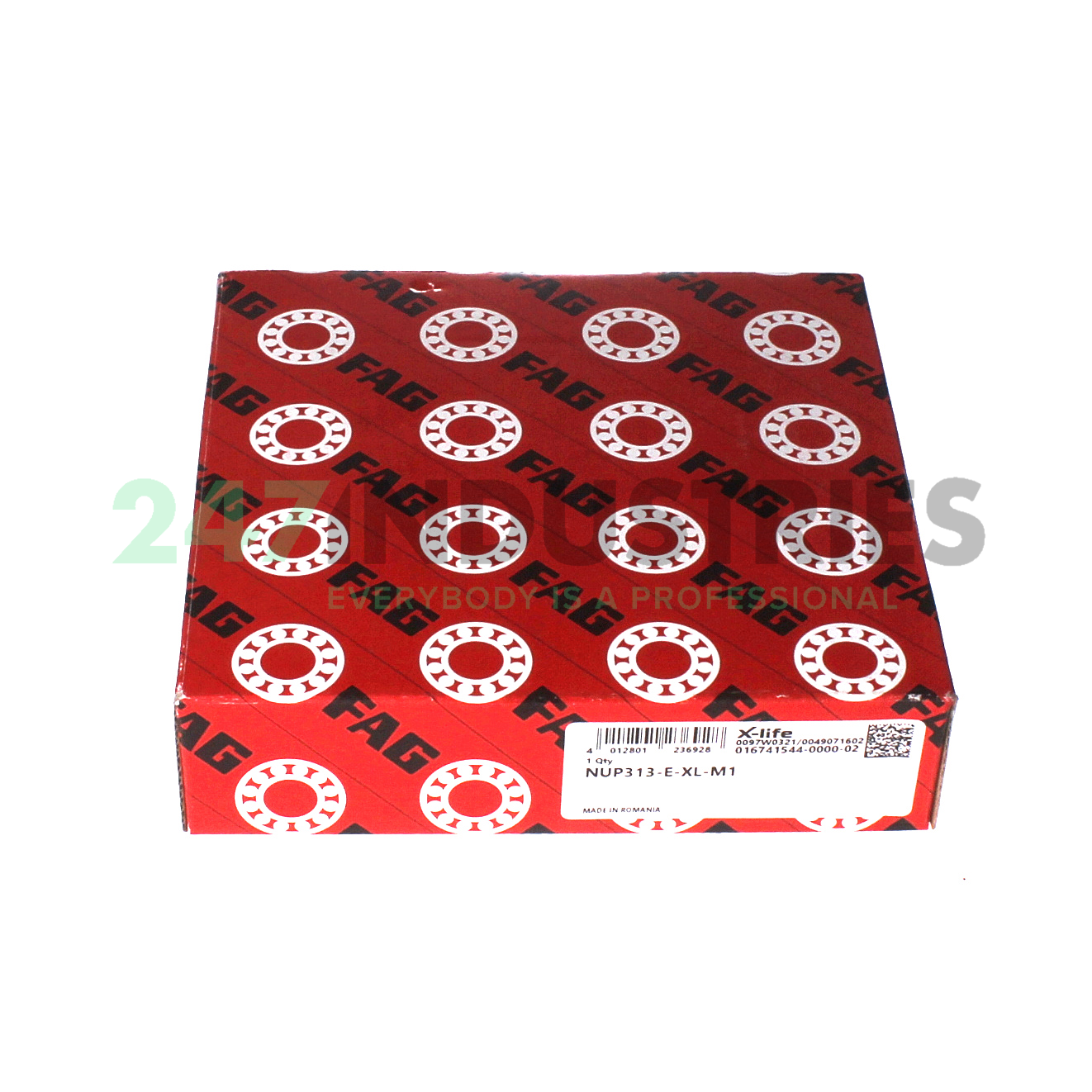 NUP313-E-XL-M1 FAG Image 4