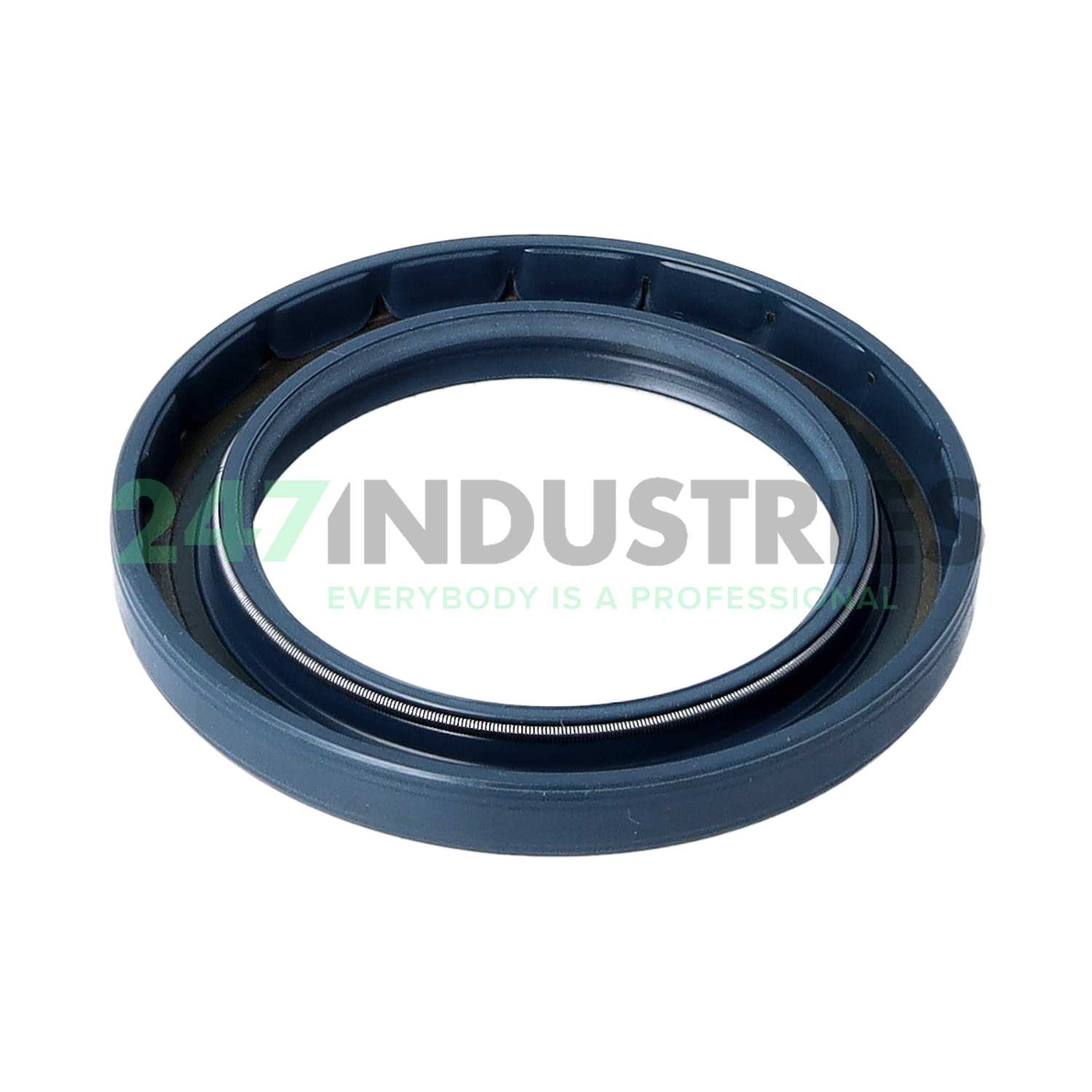 BAU4SLX2 50X72X8 Freudenberg Image 2