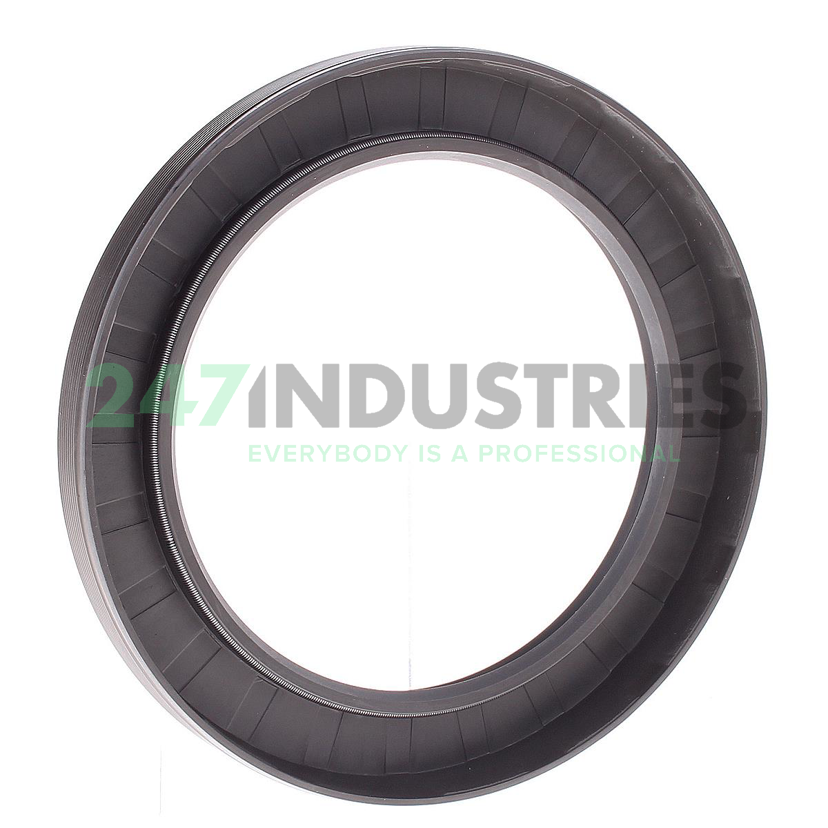 CR80X110X12HMSA10RG SKF