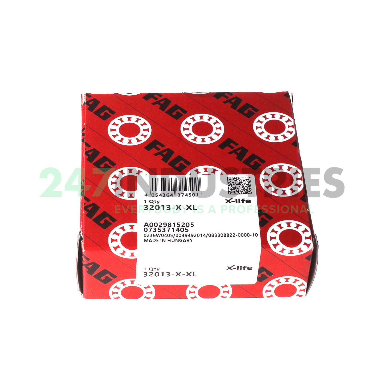 32013-X-XL FAG Image 4