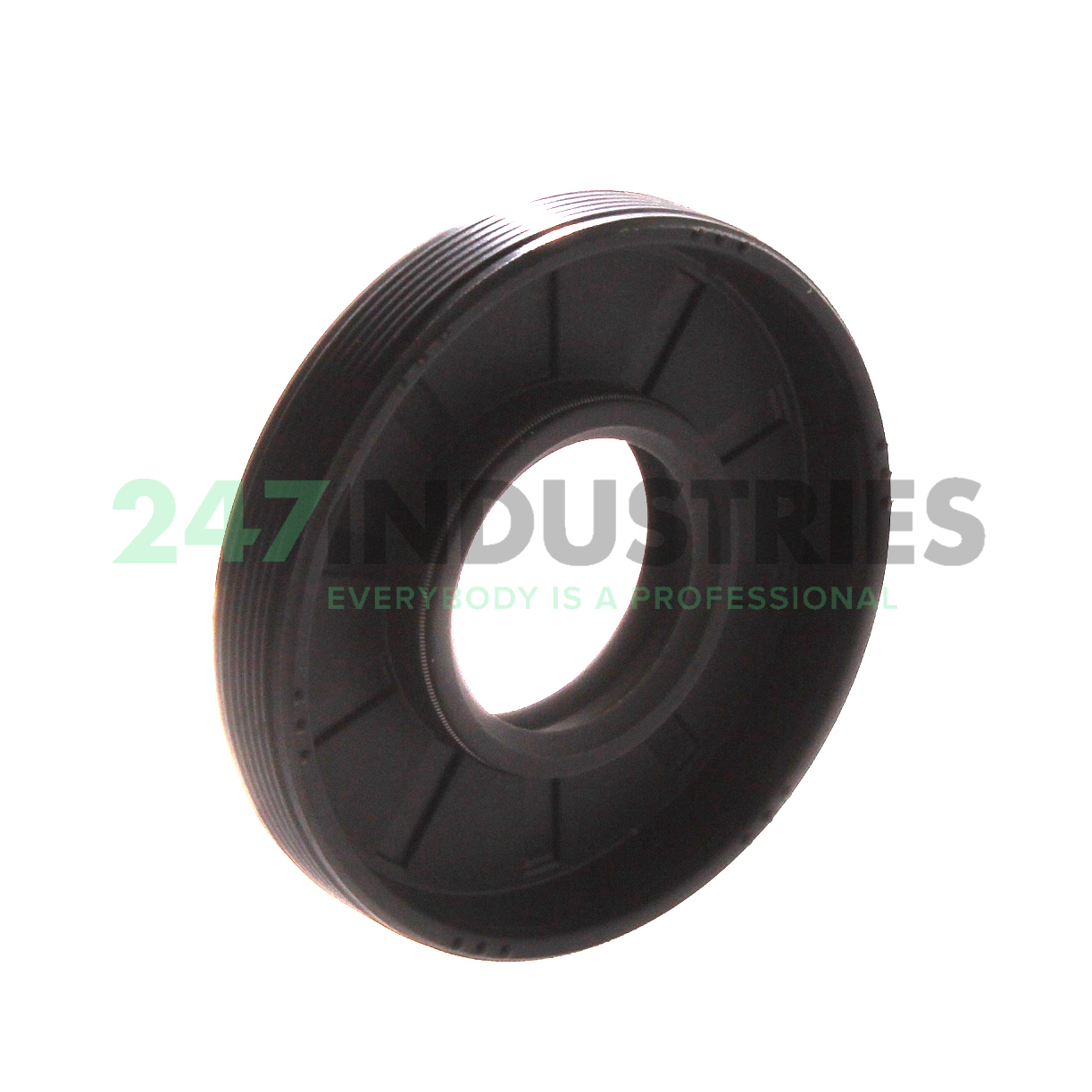 17X40X7HMSA10RG SKF Image 2