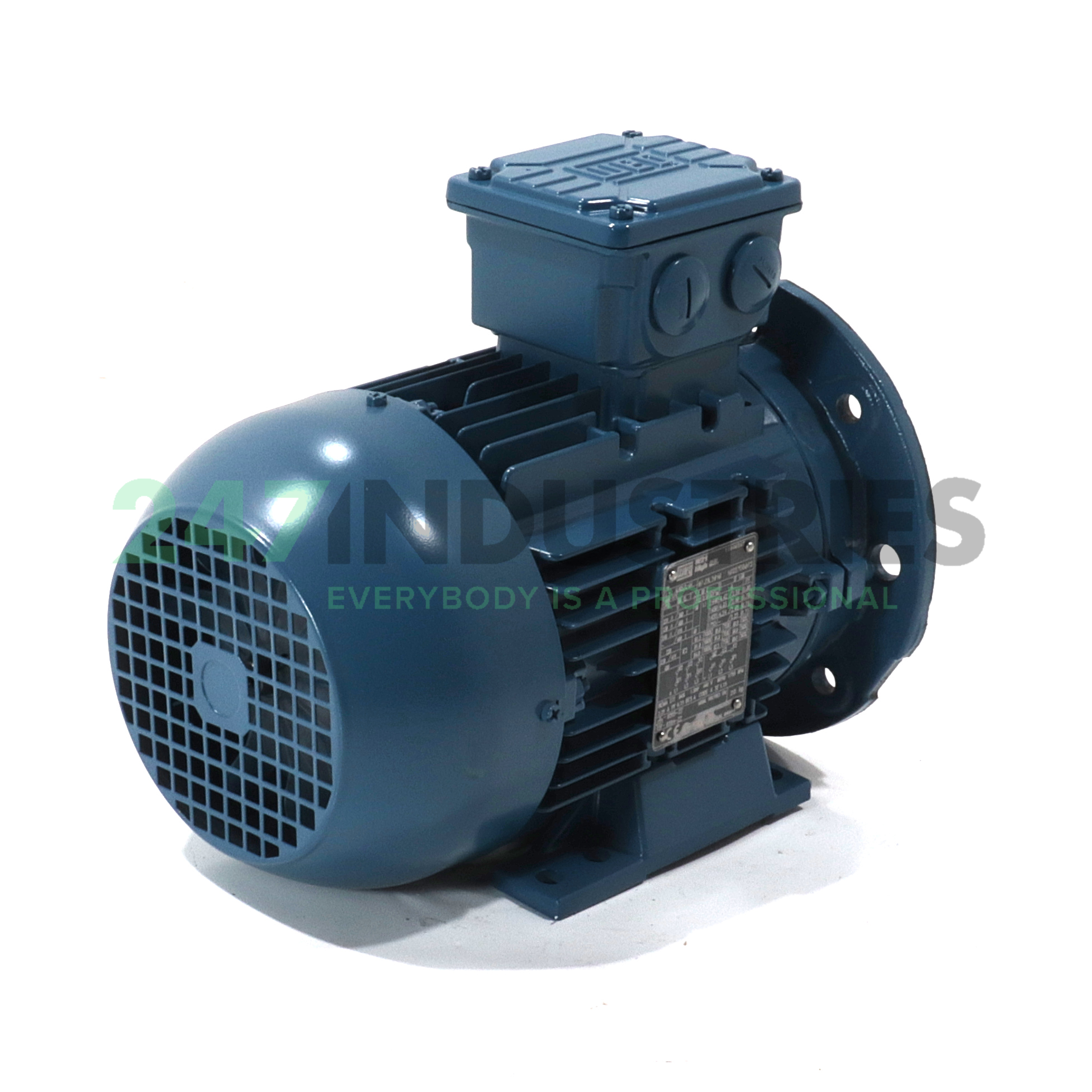 1.1K31AL290S/L4B35 WEG Image 3