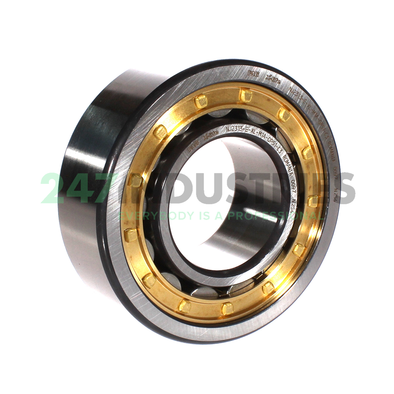 NJ2313-E-XL-M1A-QP51-C3 FAG