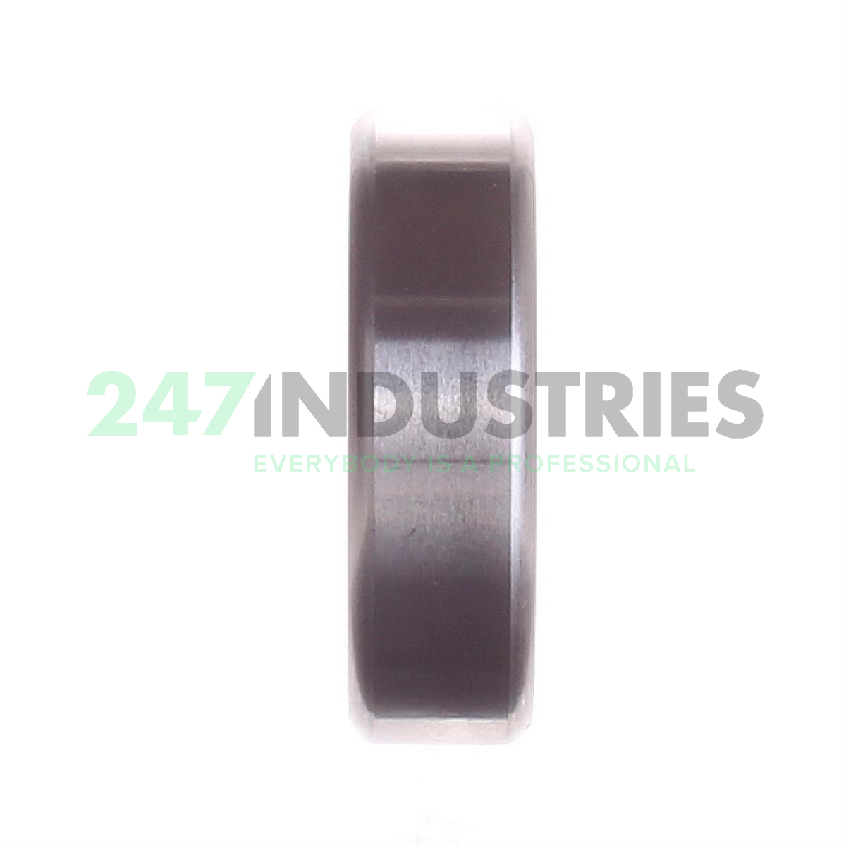 W6304-2RS1 SKF Image 2