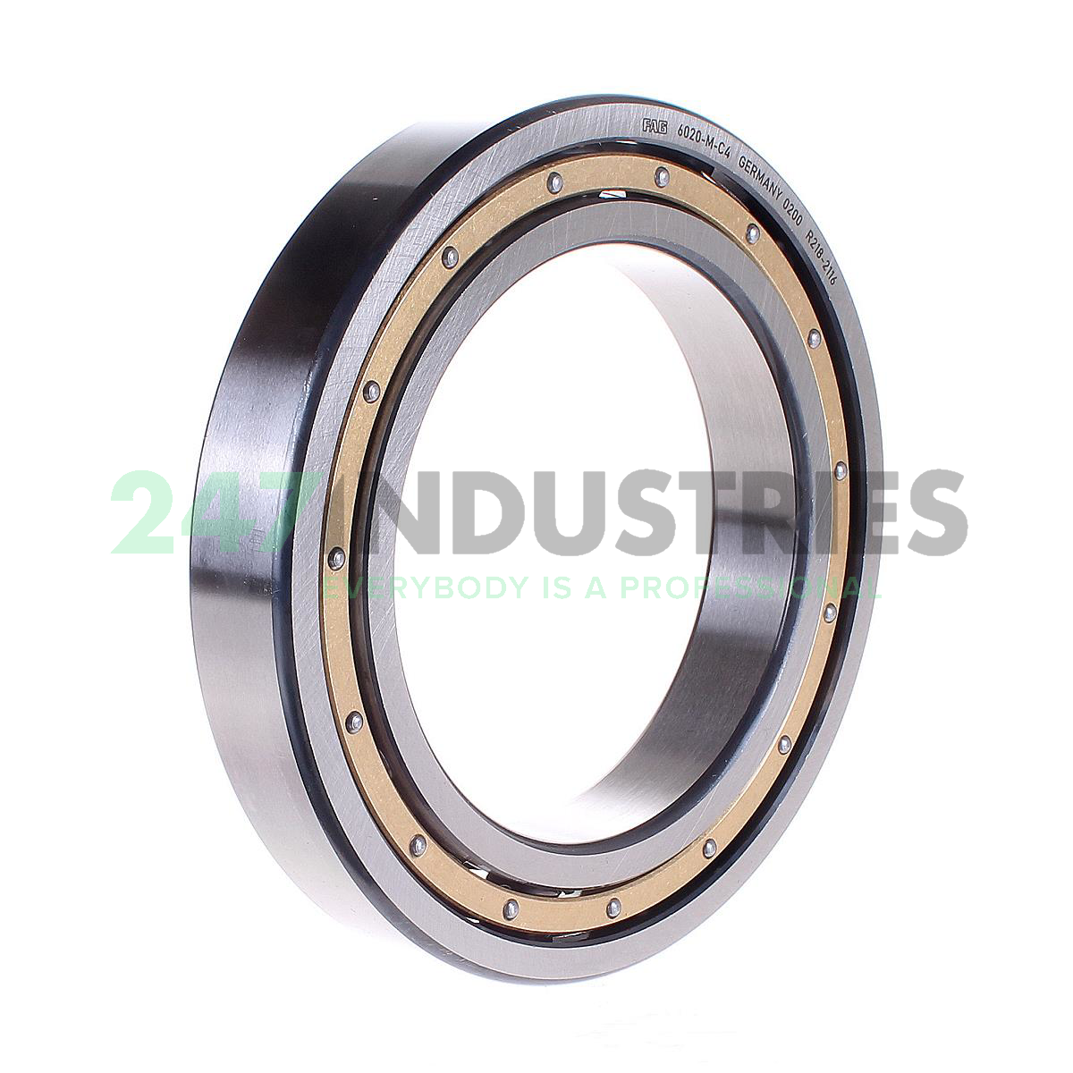 6020-M-C4 FAG