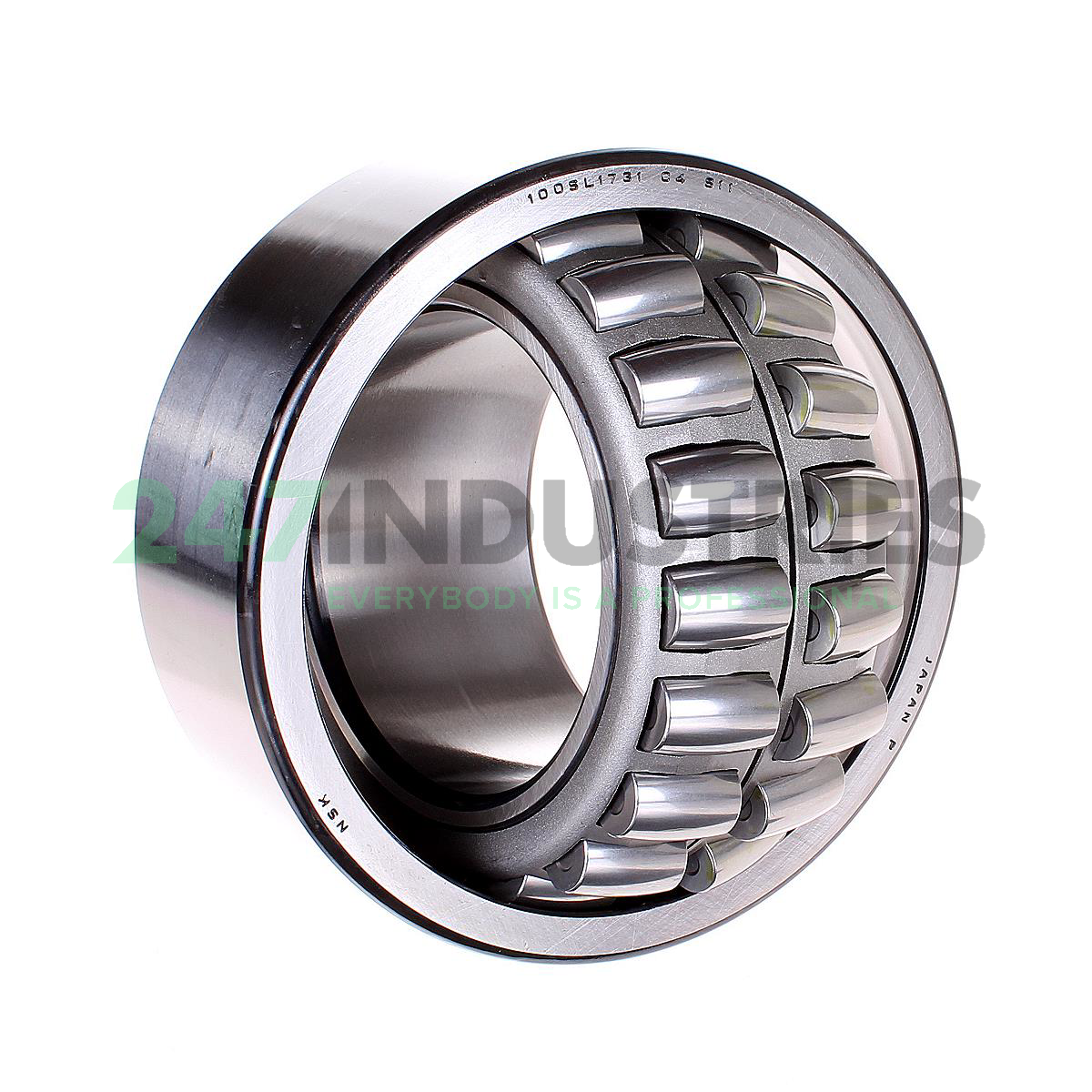 100SL1731C4S11 NSK Image 2