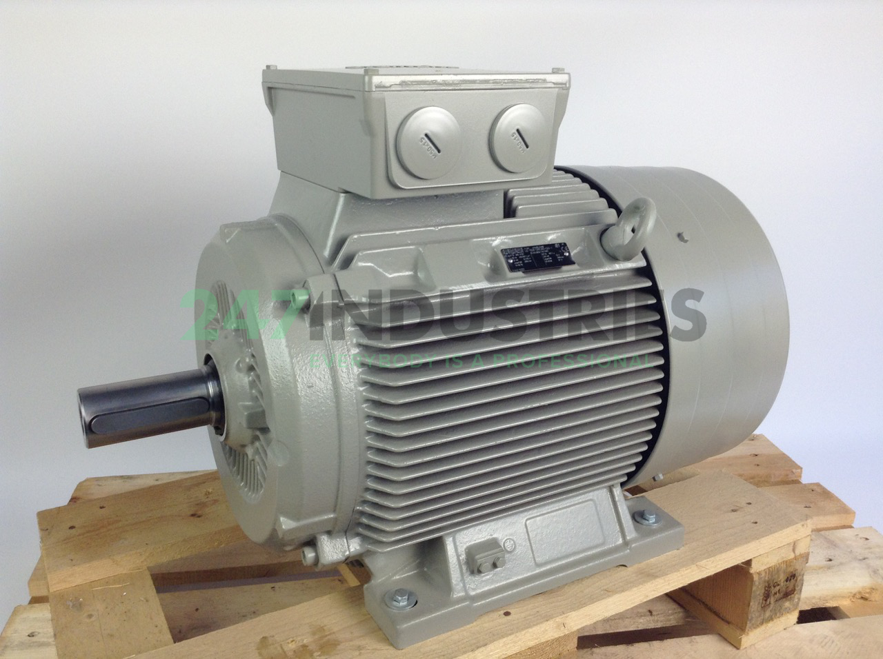 1LG4206-2AA60 Siemens