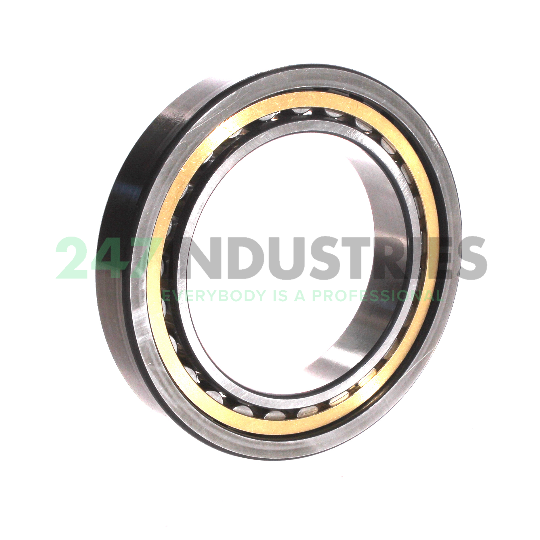 NU1017-XL-M1 FAG Image 2