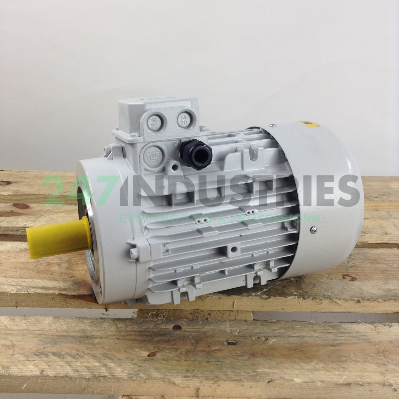 TN100A/4-B14 MT Motori Elettrici Image 1