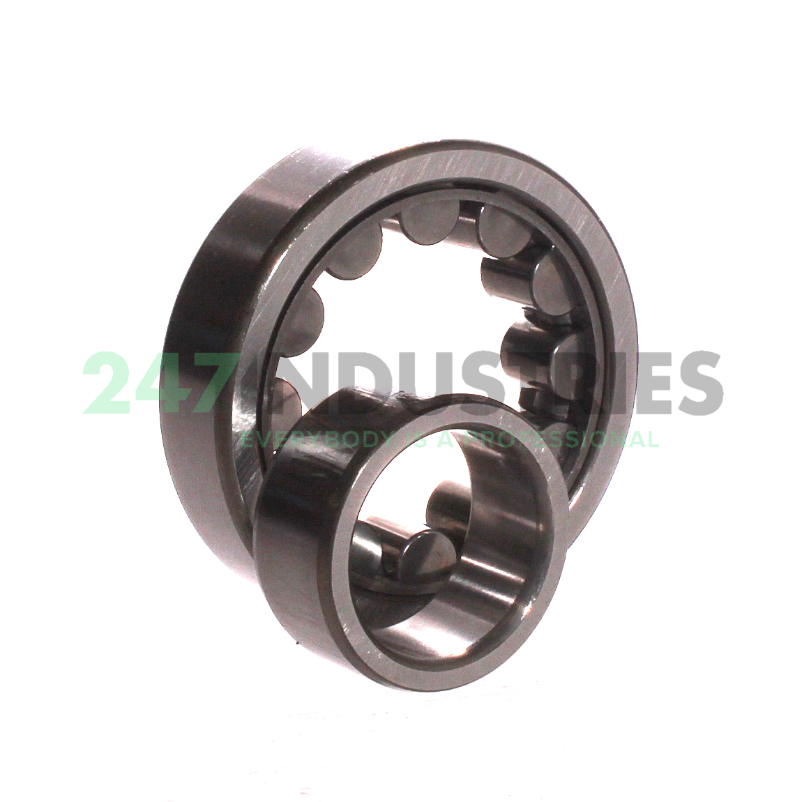 NU307EWC3 NSK Image 3