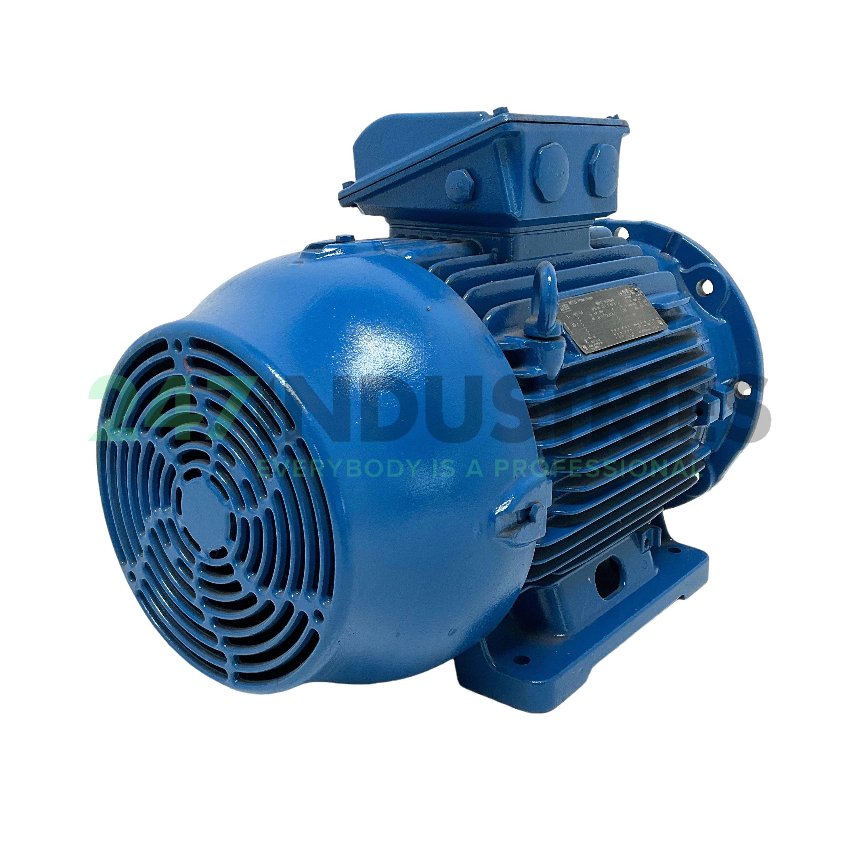 22K35CI3180L4B35 WEG Image 3