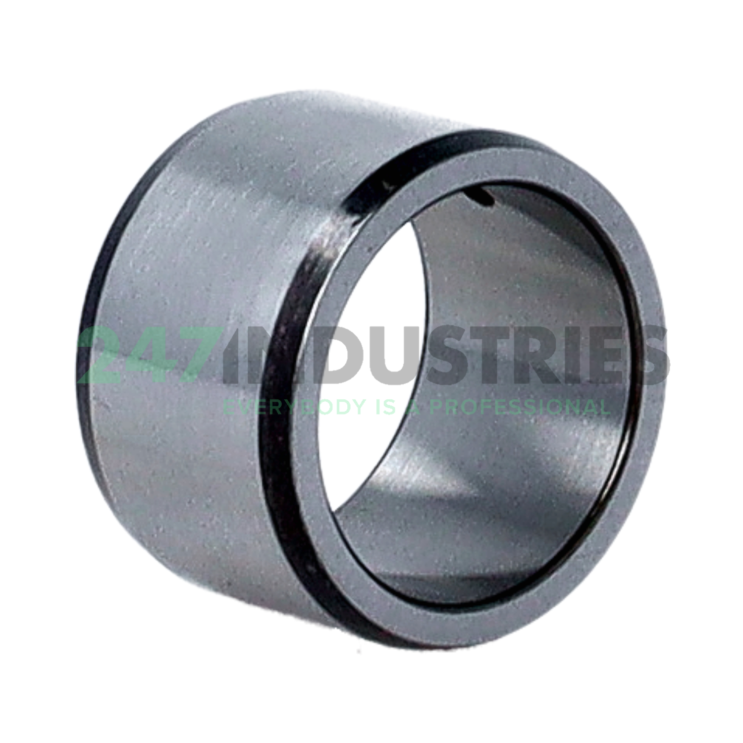 IR20X25X16-IS1-XL INA