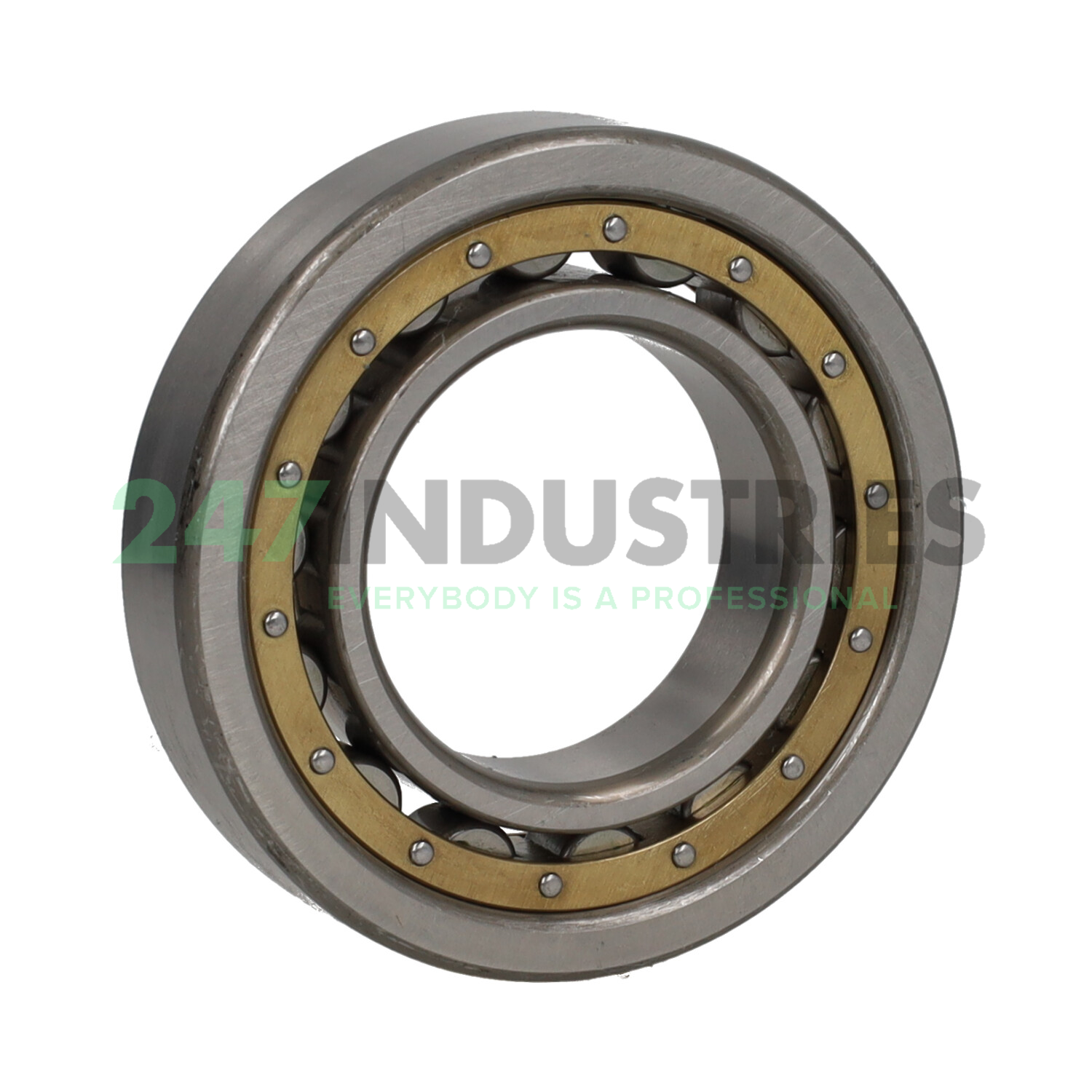 NU209MCM NSK Image 3