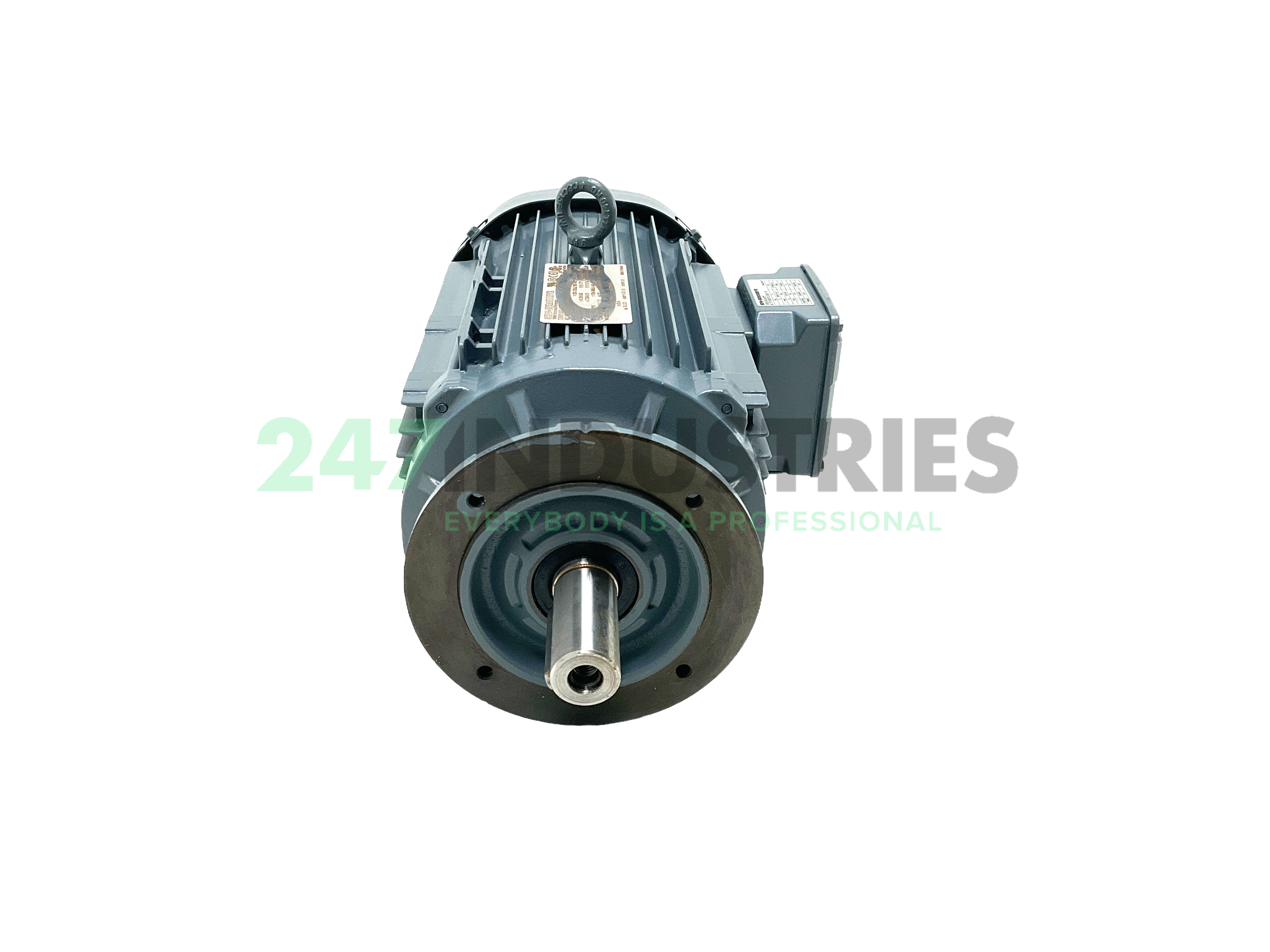 DRN100L4/FT-B14 SEW-EURODRIVE Image 2