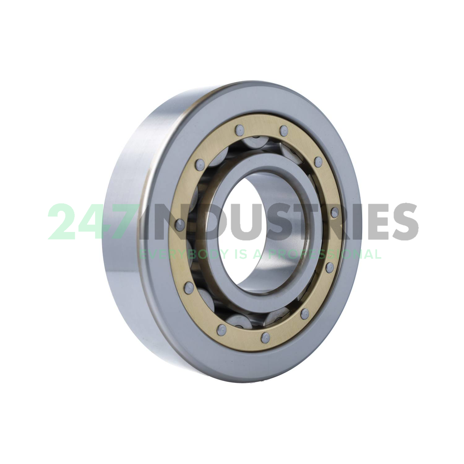 NU418MC3 NSK Image 2