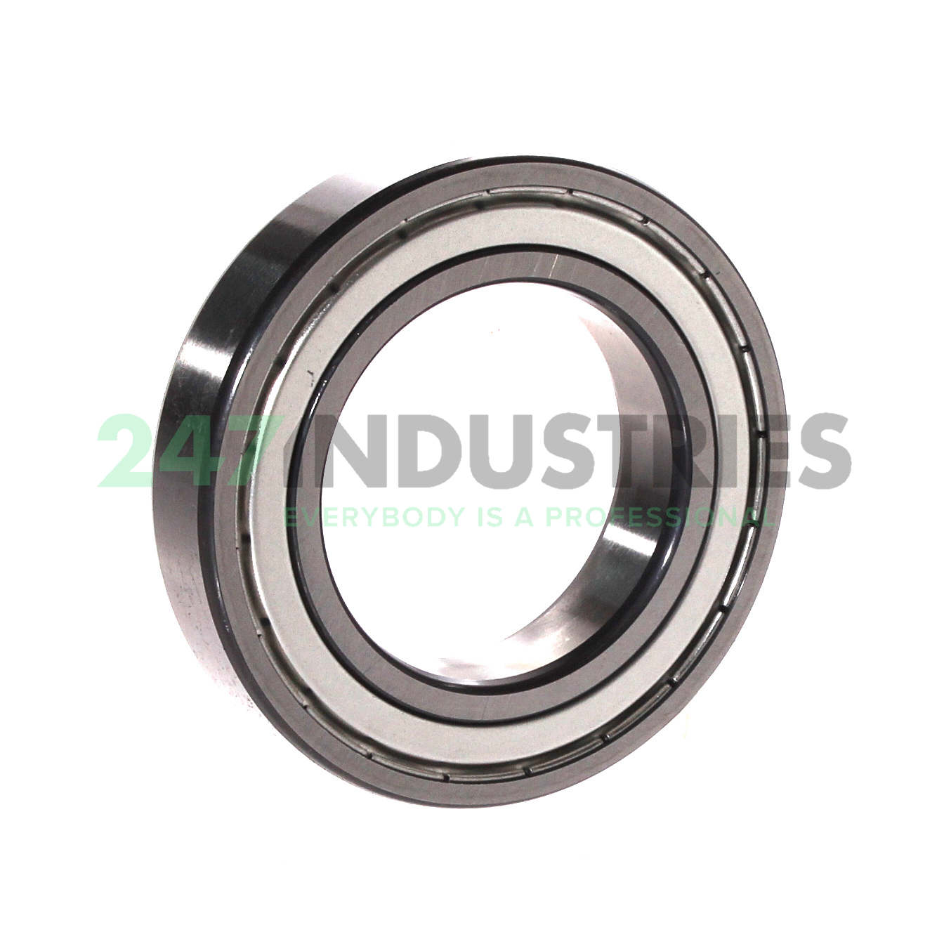 6009-2Z-C3 FAG Image 2