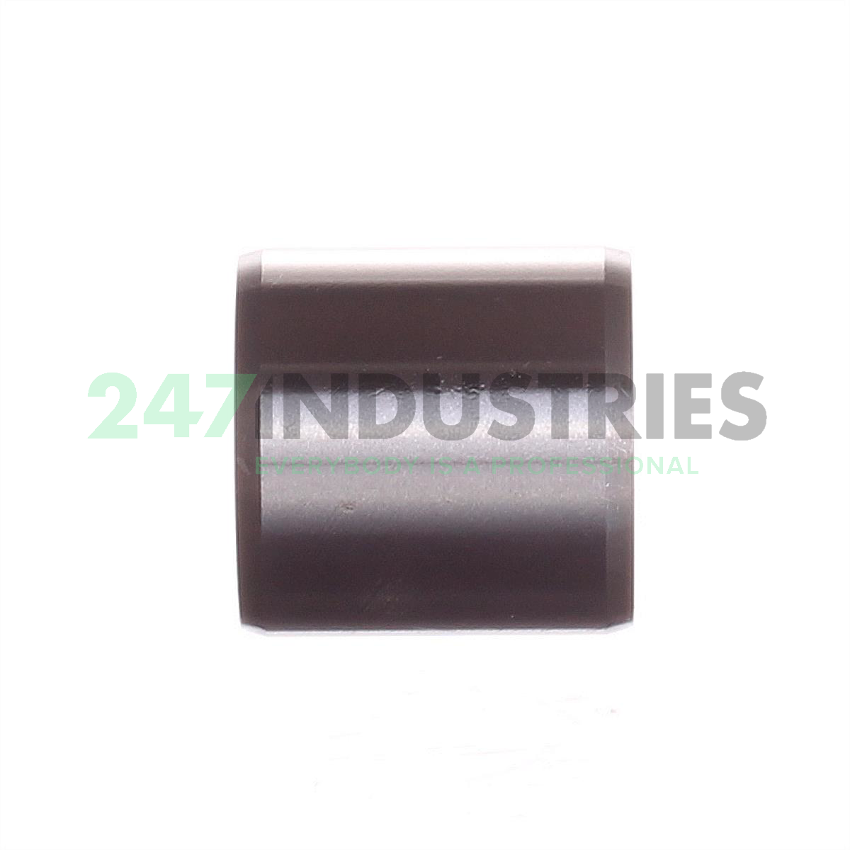 IR25X30X30-EGS INA Image 2