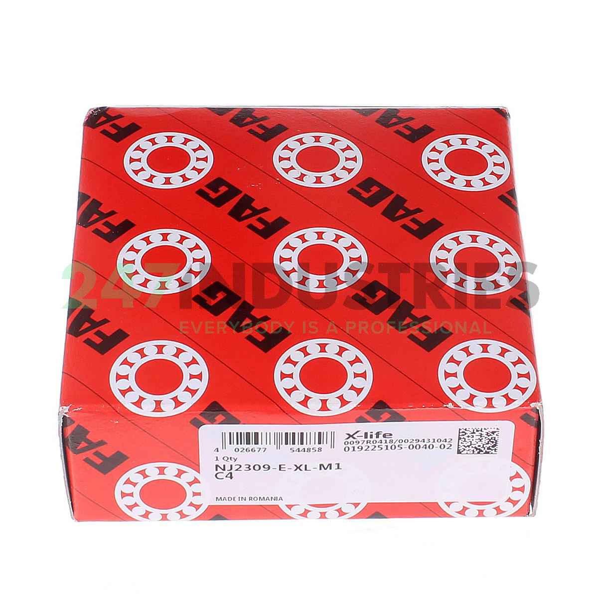 NJ2309-E-XL-M1-C4 FAG Image 3