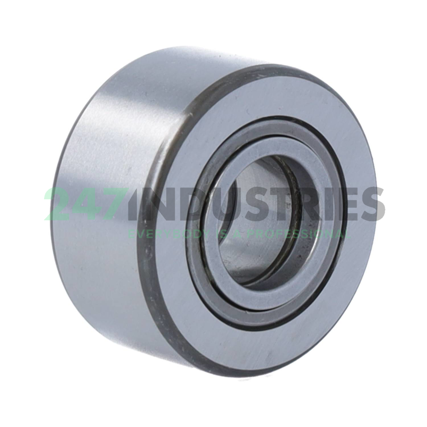 NUTR17A SKF Image 2
