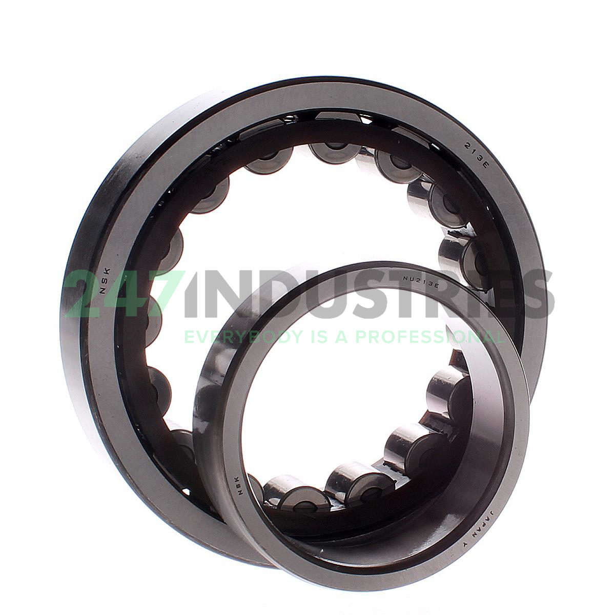 NU213ET NSK Image 3