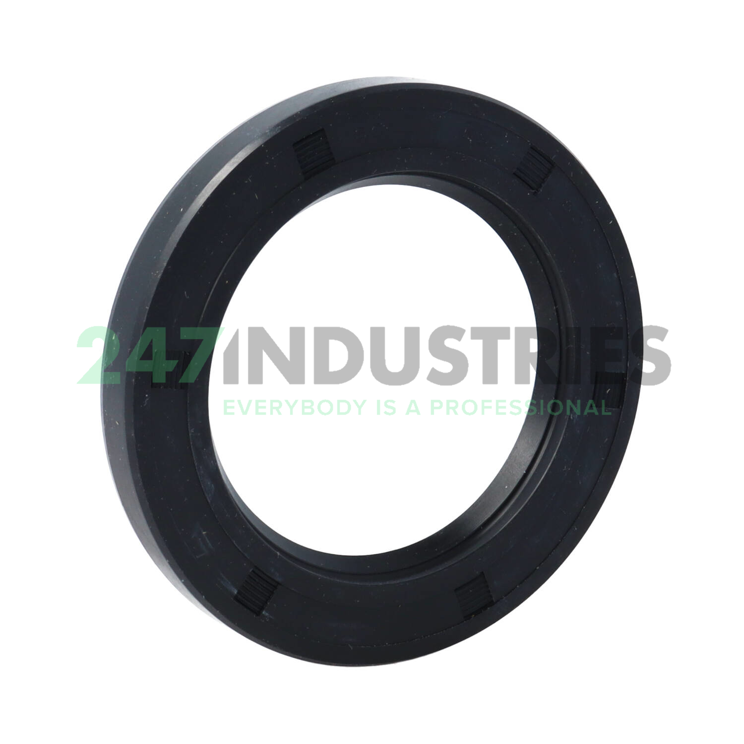 SC53X80X10 NAK Sealing Technologies Image 1