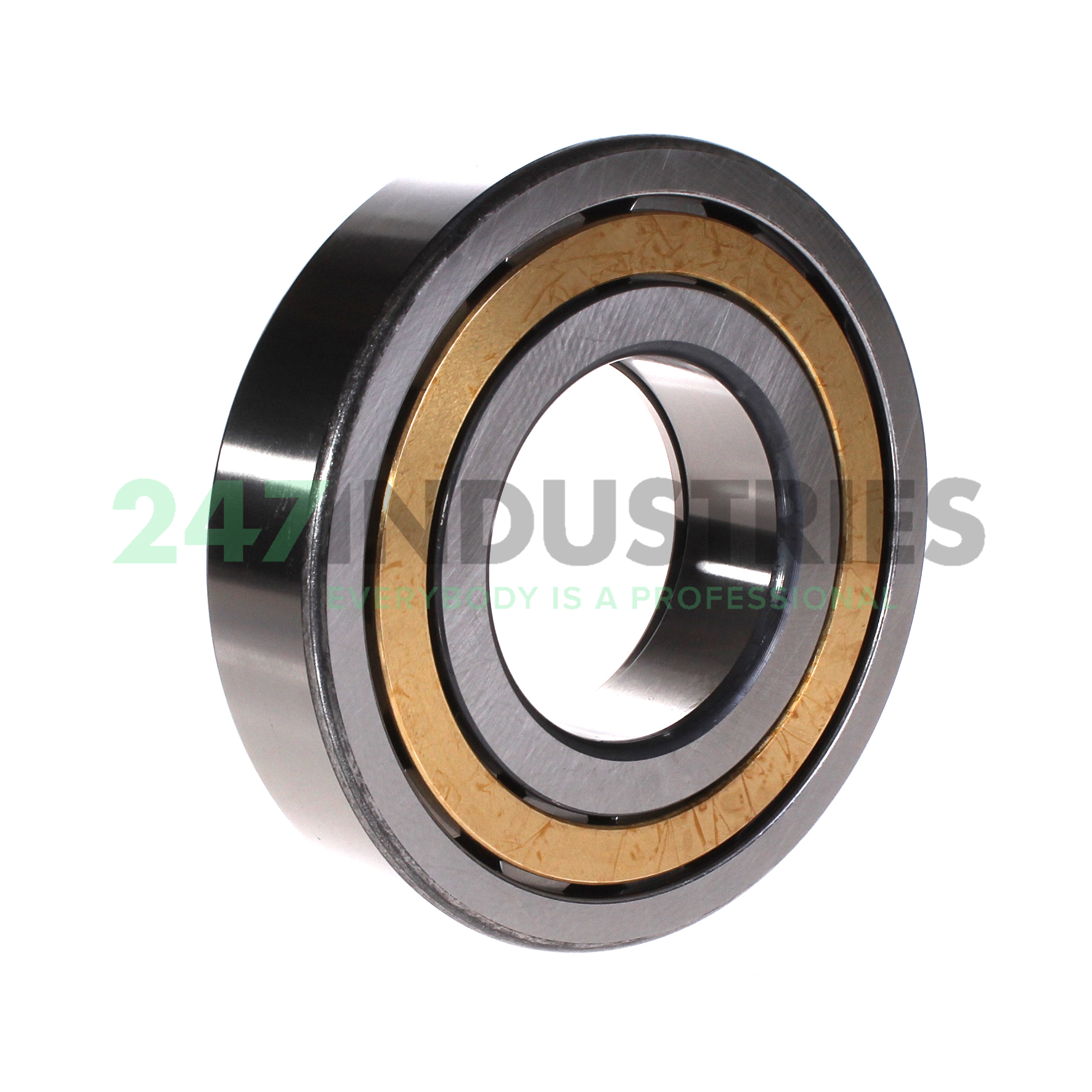 NUP315-E-XL-M1 FAG Image 2