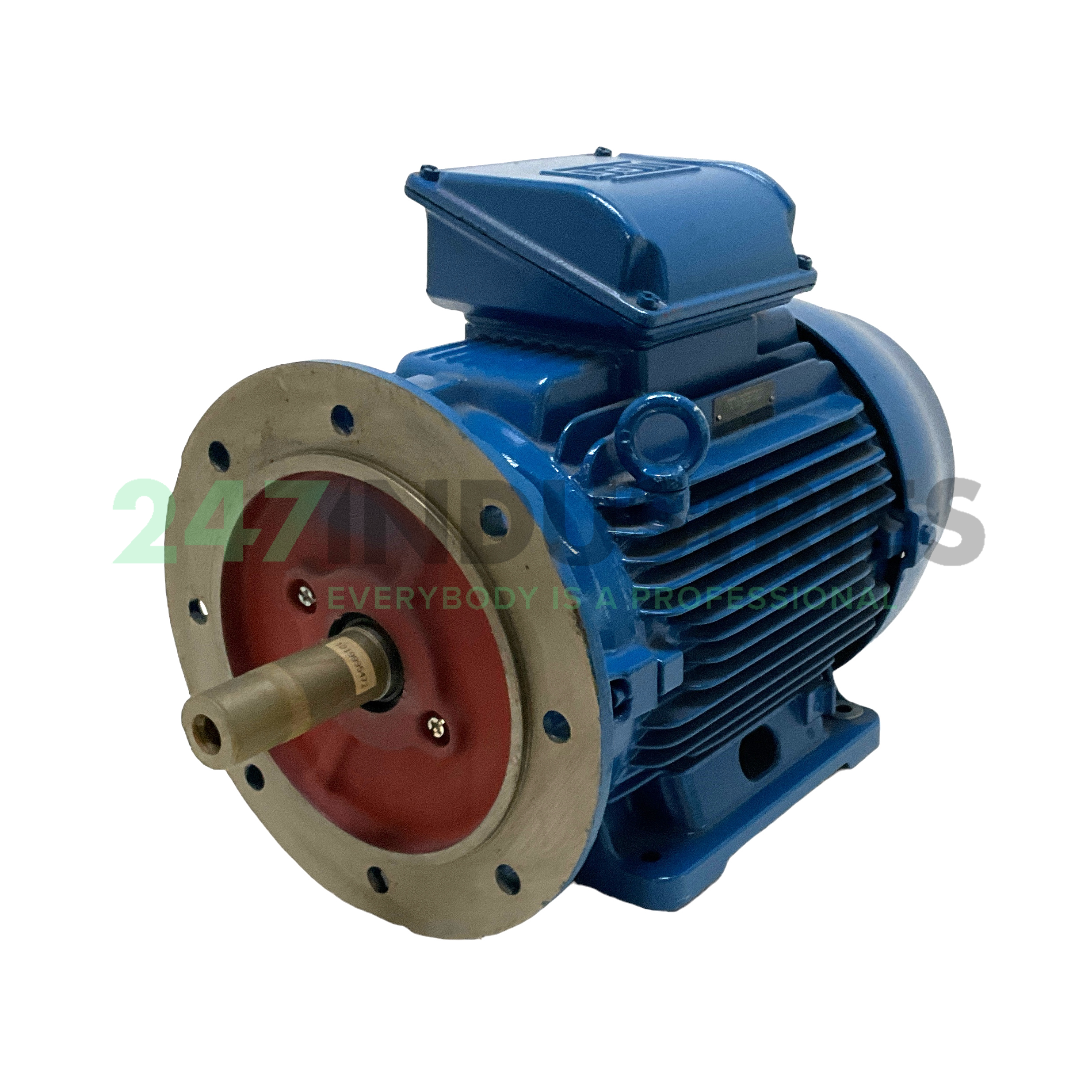 15K35CI3160L4B35 WEG